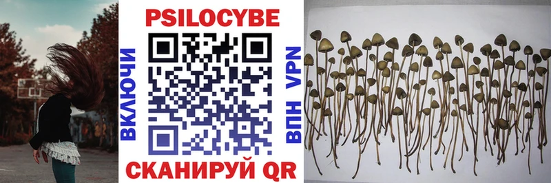 Псилоцибиновые грибы Magic Shrooms Макарьев