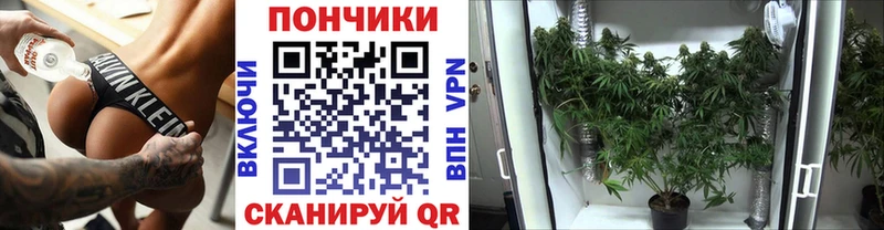 сайты даркнета наркотические препараты  Макарьев  Каннабис марихуана  купить наркотики сайты 